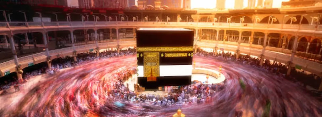 Working Professionals in Abu Dhabi